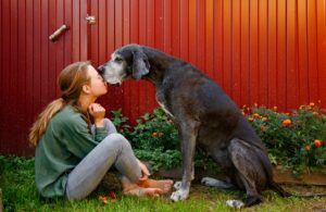 Is It OK if My Dog Licks Me?