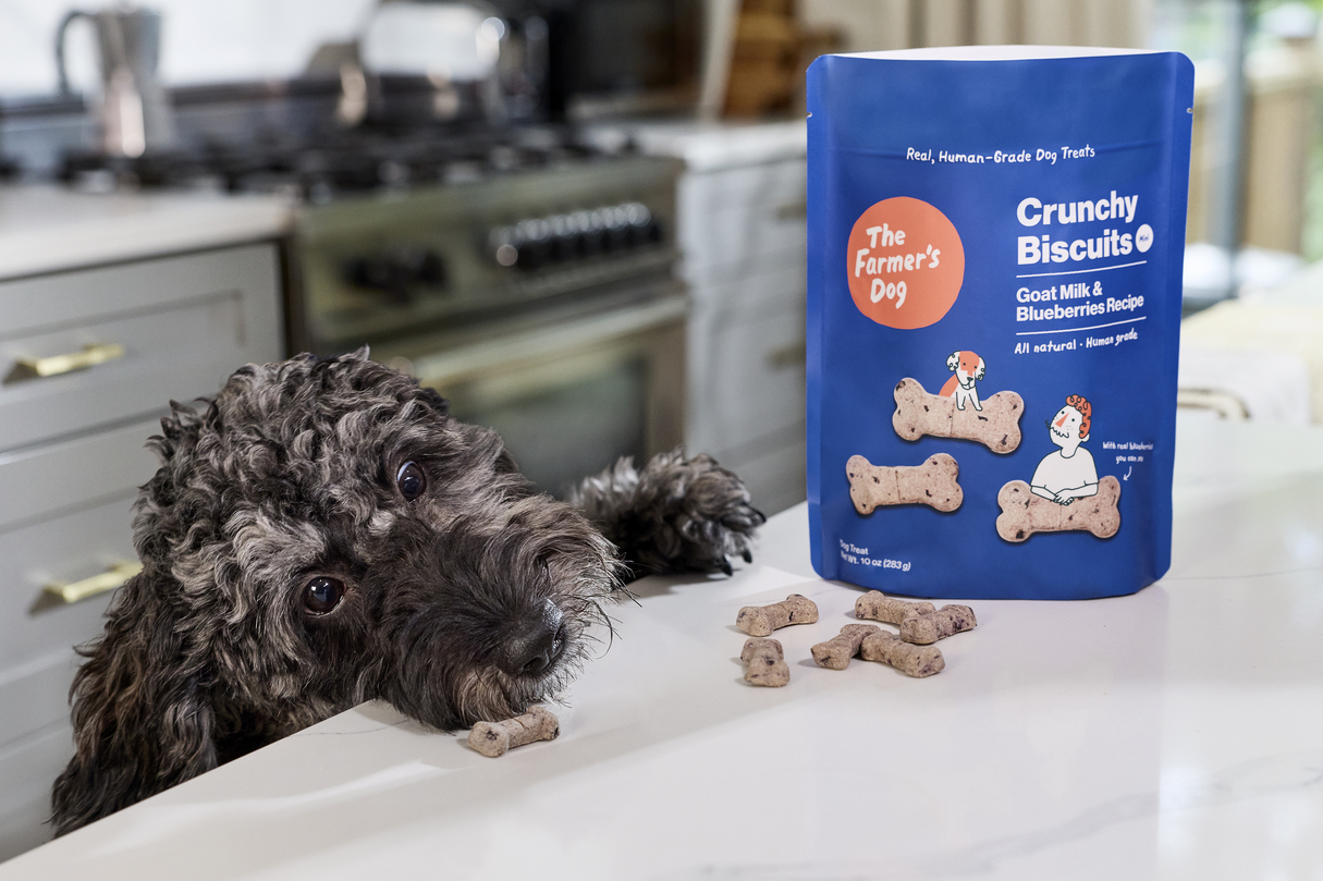 4 Reasons to Treat Your Dog With Crunchy Biscuits