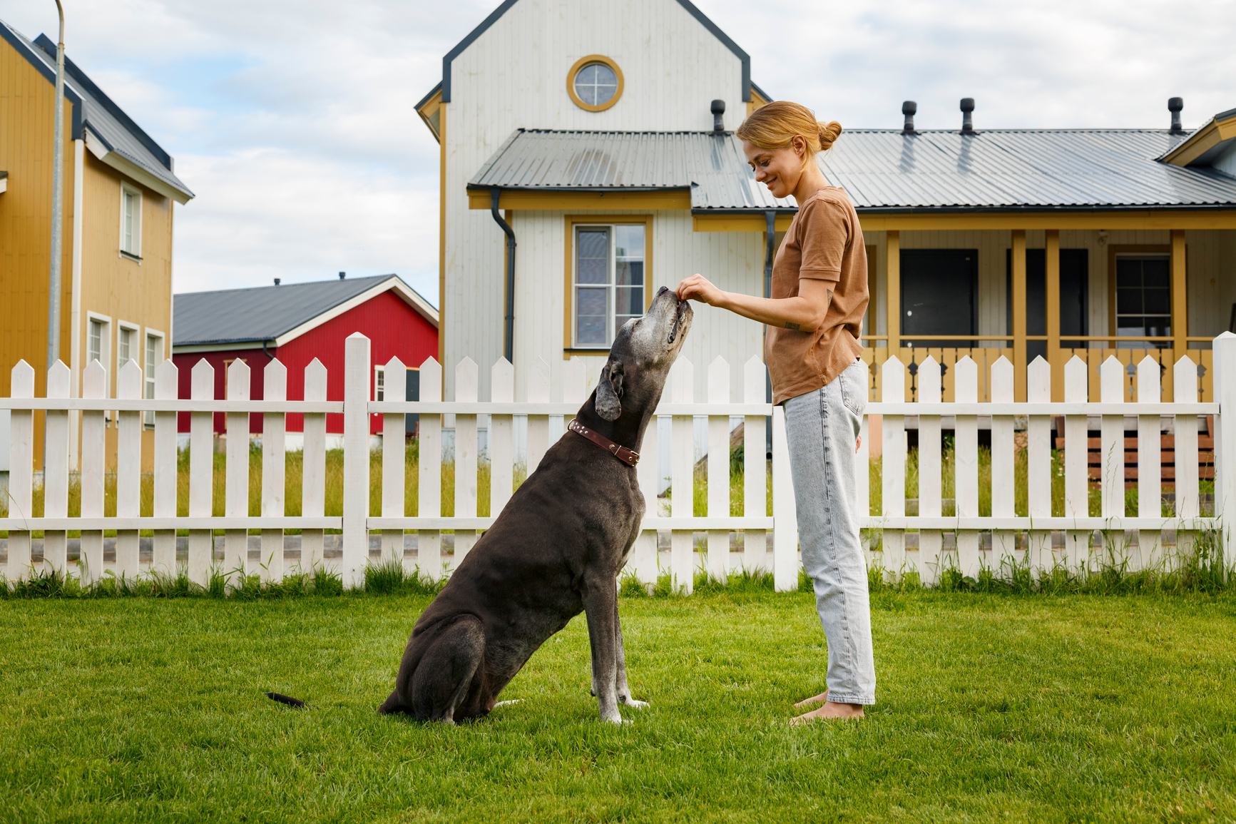 Should I Hand-Feed My Dog?