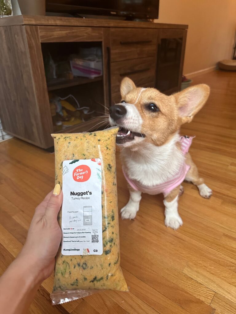 A corgi with a pack of The Farmer's Dog food.