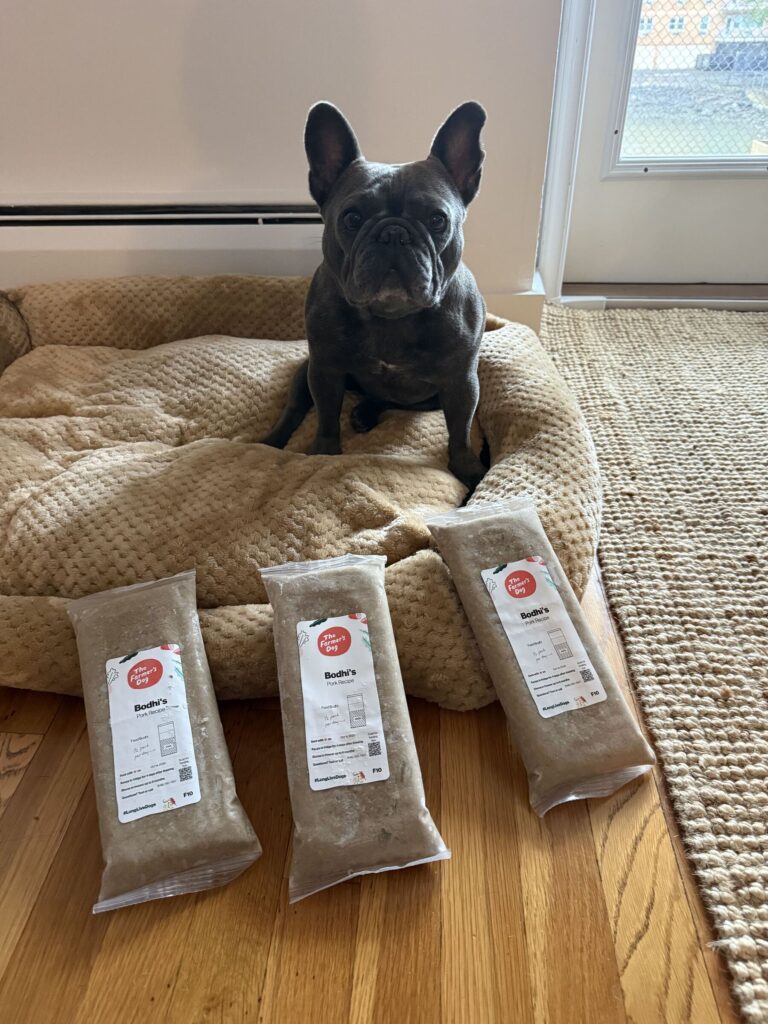 A grey French bulldog sits on a beige bet in front of three packs of fresh food.
