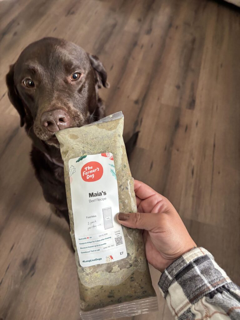 A brown Labrador retriever sits on a wood floor looking at a pack of fresh food held by a hand.