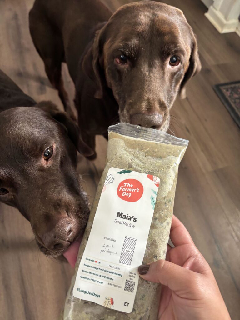 Two brown Labrador retrievers standing on a wood floor look at a pack of fresh food.