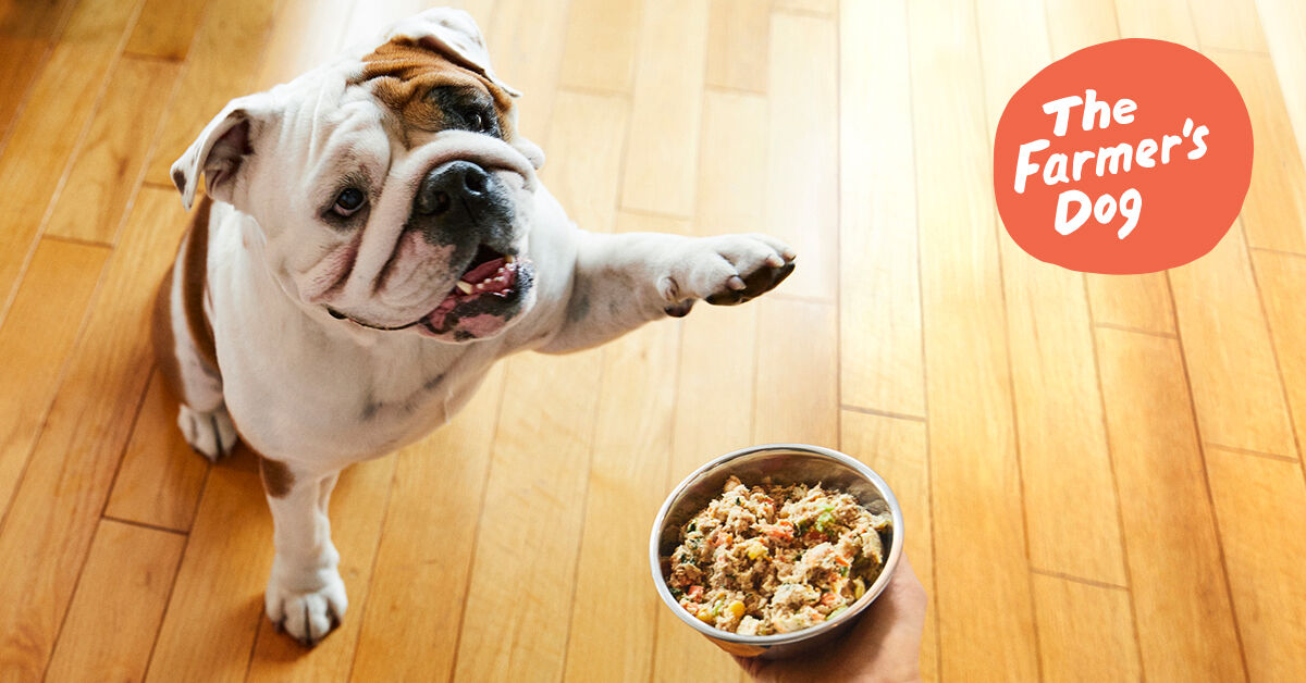 The Farmer's Dog: Fresh Human-Grade Dog Food Delivery